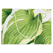 フィカス植物2 ラージペーパーバッグ (裏面)