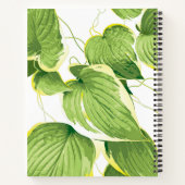 フィカス植物 ノートブック (裏面)