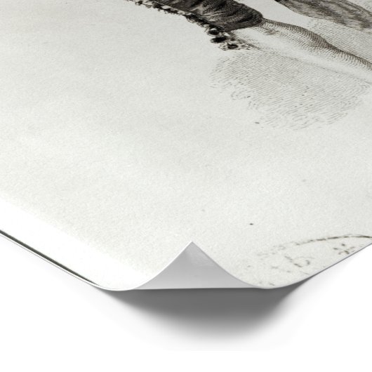 フィガロ ポスター (角)