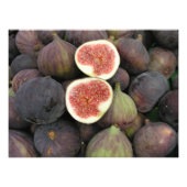 フィクス フォトプリント            (正面)