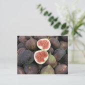 フィクス ポストカード (スタンド正面)