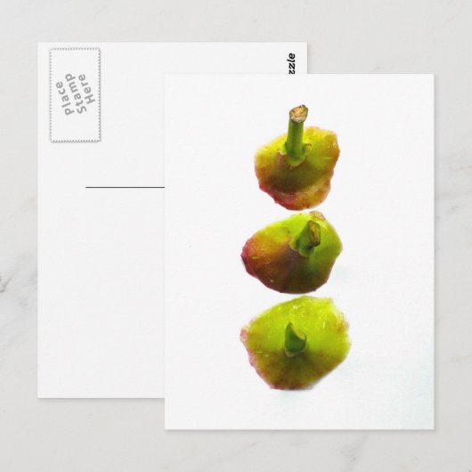 フィグス ポストカード (正面/裏面)