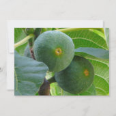 フィグス 招待状 (正面)