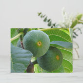 フィグス 招待状 (スタンド正面)