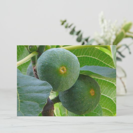 フィグス 招待状 (スタンド正面)