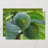 フィグス 招待状 (正面/裏面)