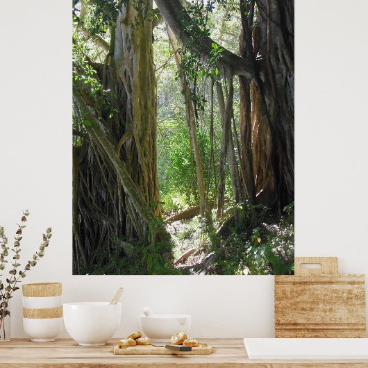 フィグツリー ポスター (キッチン)