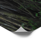 フィグツリー ポスター (角)