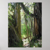 フィグツリー ポスター (正面)