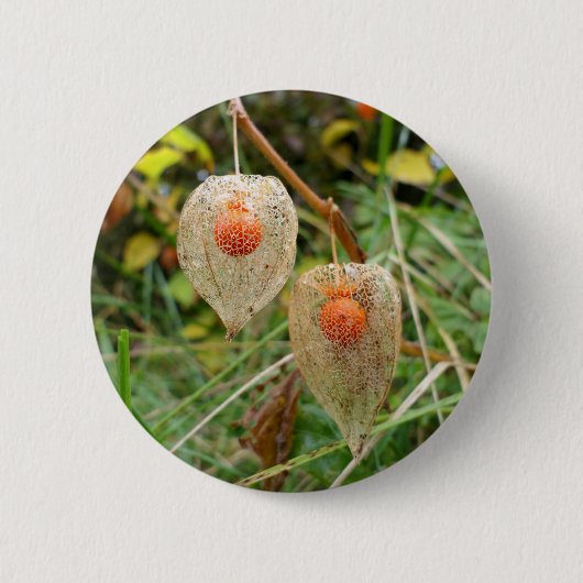 フィサリスアルケギバッジ 缶バッジ (正面)