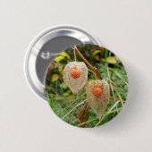 フィサリスアルケギバッジ 缶バッジ (正面&裏面)