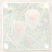 フィサリス・アルケケンギ ガラスコースター (裏面)