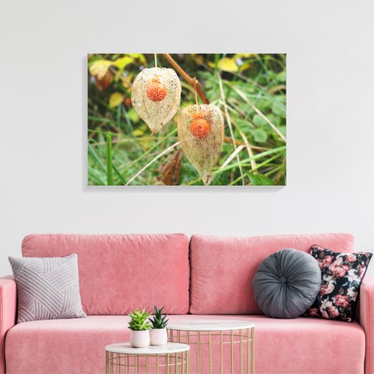 フィサリス・アルケケンギ キャンバスプリント (インサイチュ (リビング))