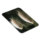 フィシースマグネット マグネット (右側)