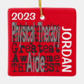 フィジカルセラピーアード超並外カスタム セラミックオーナメント (正面)