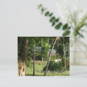 フィジーからのはがき ポストカード (スタンド正面)