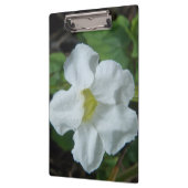 フィジーで白い熱帯の花が見つかる クリップボード (左)