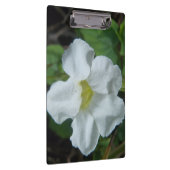 フィジーで白い熱帯の花が見つかる クリップボード (右)