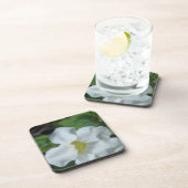 フィジーで白い熱帯の花が見つかる コースター (右側)