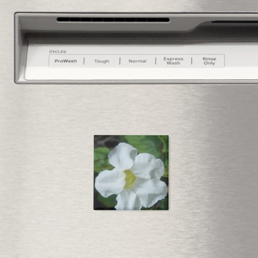 フィジーで白い熱帯の花が見つかる マグネット (インサイチュ (食洗機))