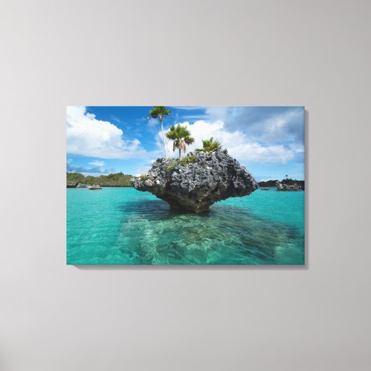 フィジーのキノコ島 キャンバスプリント (正面)