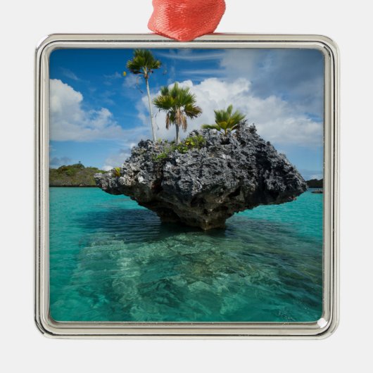 フィジーのキノコ島 メタルオーナメント (正面)