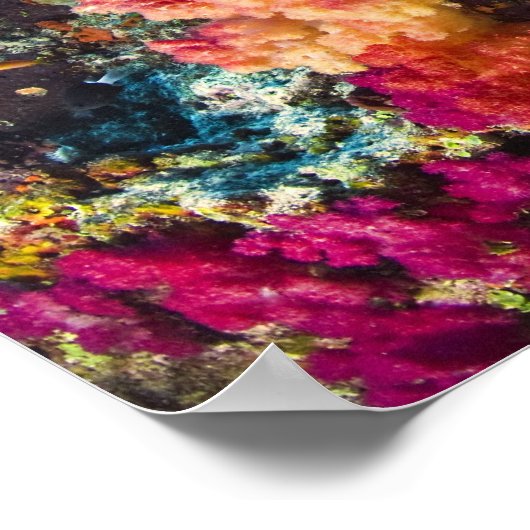 フィジーの浅いサンゴ礁 ポスター (角)