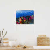 フィジーの浅いサンゴ礁 ポスター (キッチン)