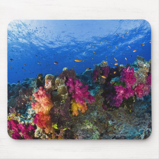 フィジーの浅いサンゴ礁 マウスパッド (正面)