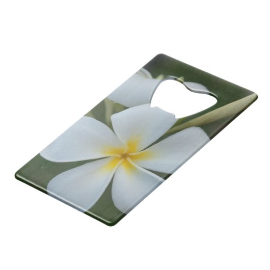 フィジーの白い熱帯花 クレジットカード栓抜き (裏面アングル)