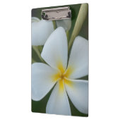 フィジー産の白い熱帯花 クリップボード (左)