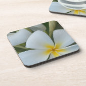 フィジー産の白い熱帯花 コースター (左側)