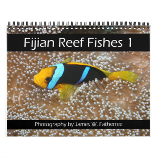 フィジー礁魚類カレンダー1 カレンダー