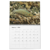 フィジー礁魚類カレンダー1 カレンダー (2月 2026)