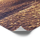 フィジー諸島、まだこんな貝殻が残っている ポスター (角)