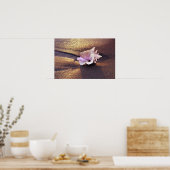 フィジー諸島、まだこんな貝殻が残っている ポスター (キッチン)