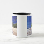 フィジー諸島、タバルア。このタヴァルアのビーチは マグカップ (中央)