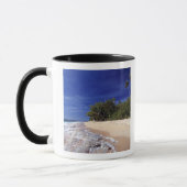 フィジー諸島、タバルア。このタヴァルアのビーチは マグカップ (左)