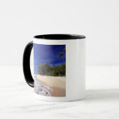 フィジー諸島、タバルア。このタヴァルアのビーチは マグカップ (正面左)