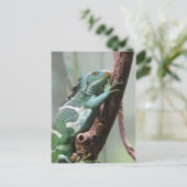 フィジー諸島 ポストカード (スタンド正面)