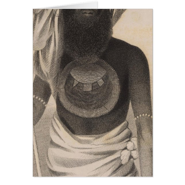 フィジー2 (正面)