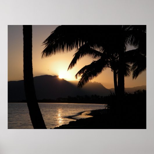 フィジー・サンライズ ポスター (正面)