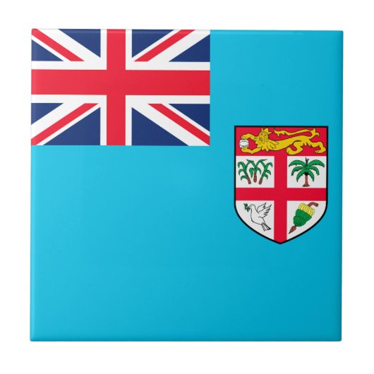 フィジー タイル (正面)