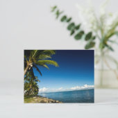 フィジー・デナロー島 ポストカード (スタンド正面)