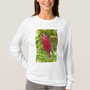 フィジー、ビティレブ島。花 Tシャツ