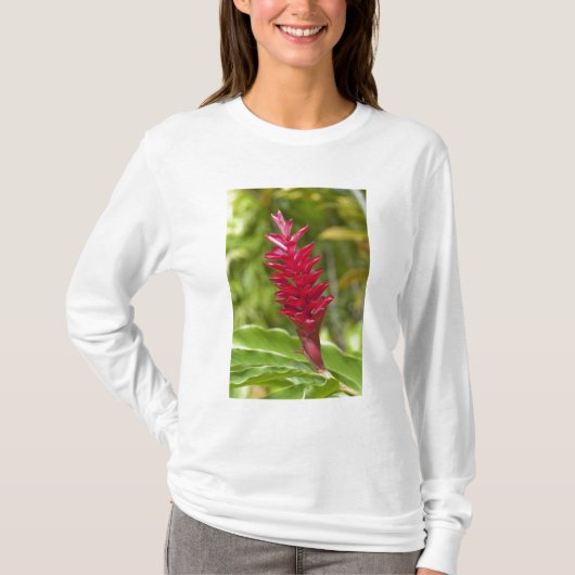 フィジー、ビティレブ島。花 Tシャツ (正面)