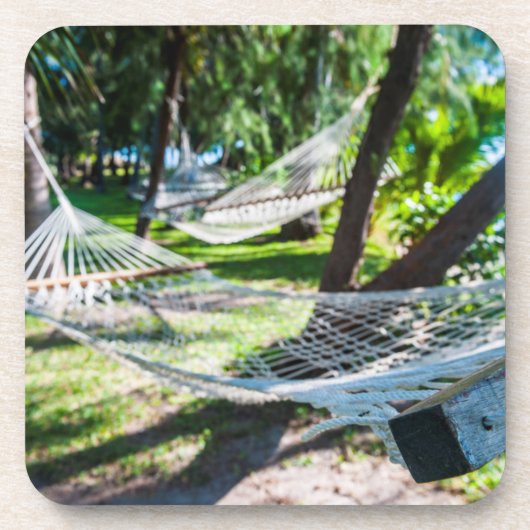 フィジー·ビーチのハンモック コースター (正面)