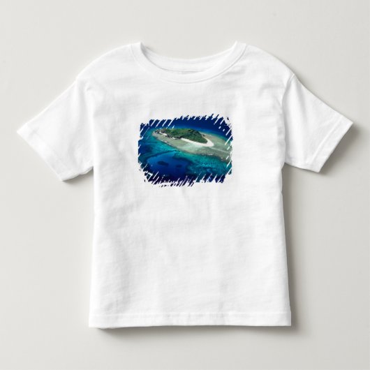 フィジー ママヌカ諸島 エオリ島 空撮 トドラーTシャツ (正面)