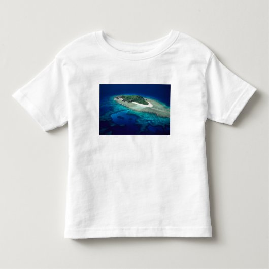フィジー ママヌカ諸島 エオリ島 空撮 トドラーTシャツ (正面)