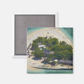 フィジー ママヌカ諸島 サウスシー島 マグネット (正面/裏面)
